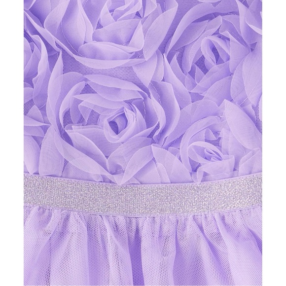 Baby Girls 3D Rosette Mesh Fit and Flare Dress - Purple Size 18-24 Months NWT - Picture 3 of 6